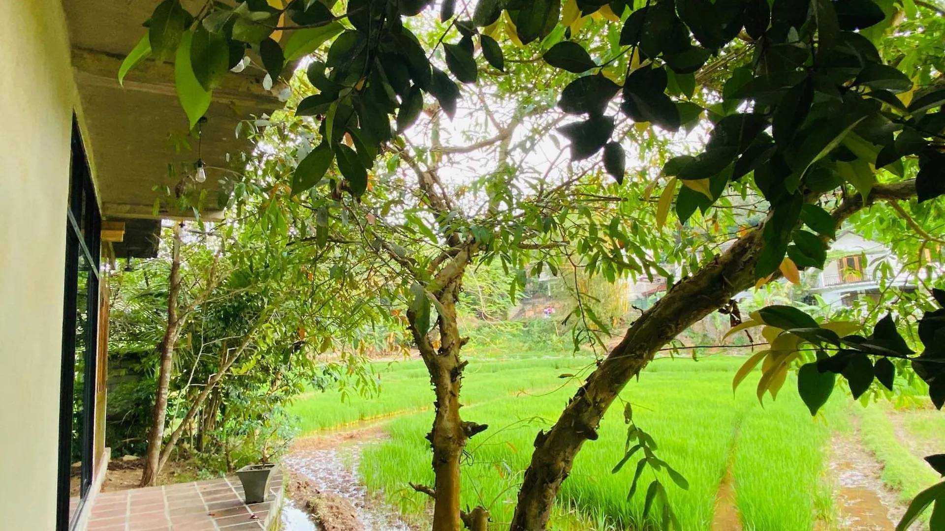 Ayubowan Eco Lodge Kandy 0*,  Šrí Lanka