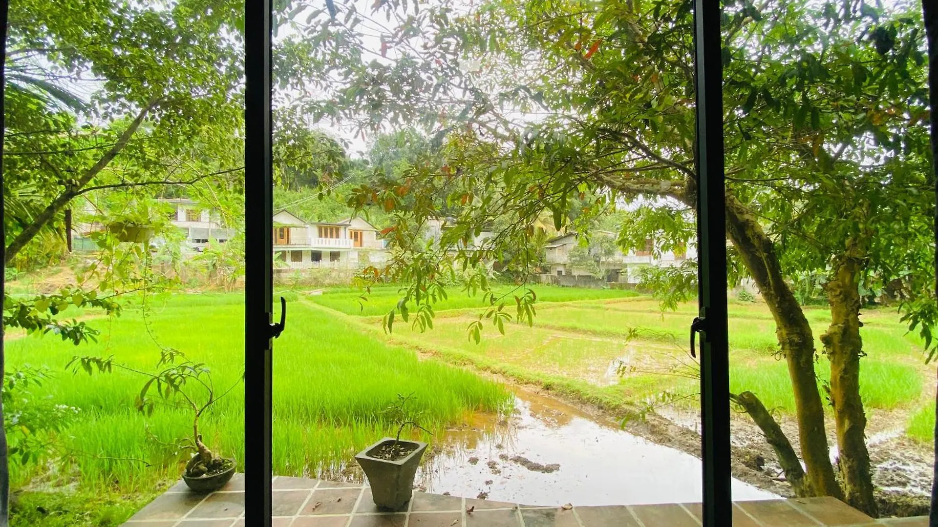 Ayubowan Eco Lodge Kandy Sri Lanka